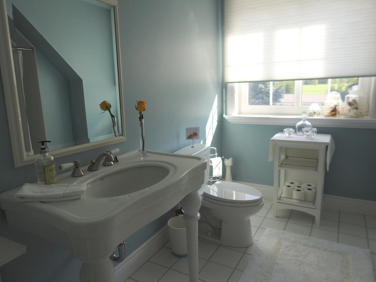 The Empty Nest B & B Carrying Place Kamer foto