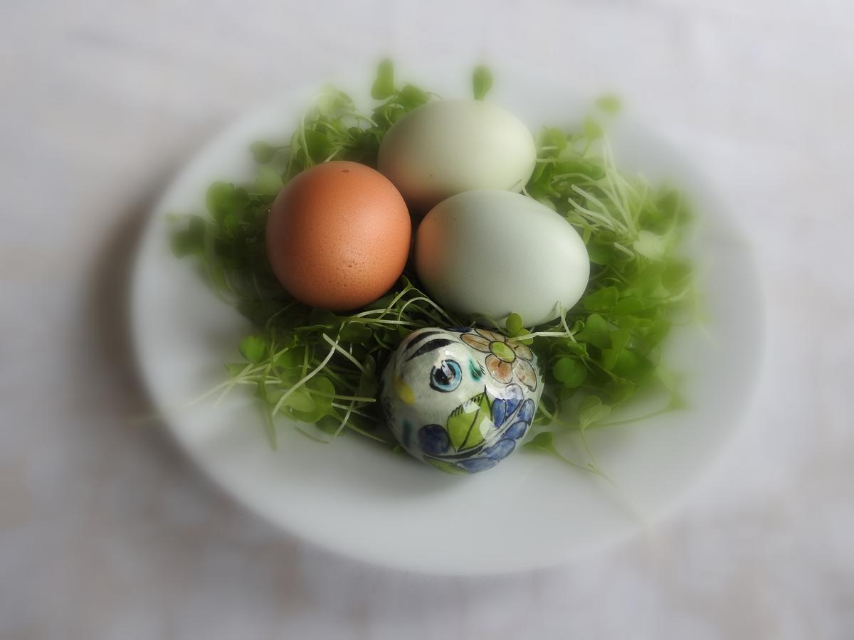 The Empty Nest B & B Carrying Place Buitenkant foto
